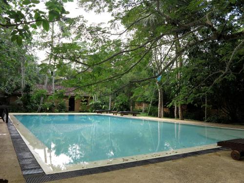 a swimming pool in a yard with trees at Bungalow Sud in Habaraduwa Central