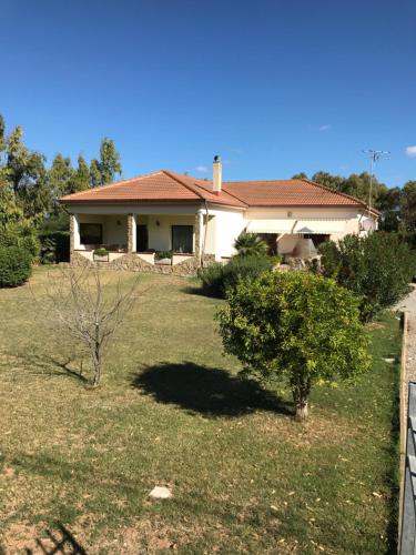 Zahrada ubytování B&B Casa Vacanze La Mimosa Alghero