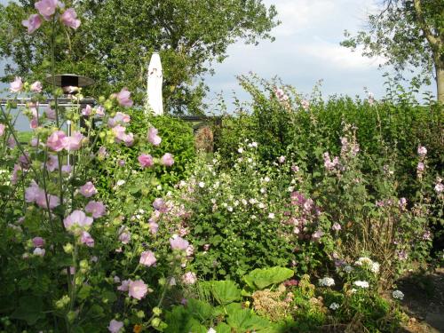 a garden with pink flowers and a white statue at B&B Texels Groen in Oudeschild