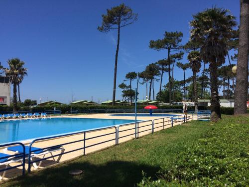 a large swimming pool with a fence and palm trees at Parque de Campismo Orbitur Angeiras in Angeiras