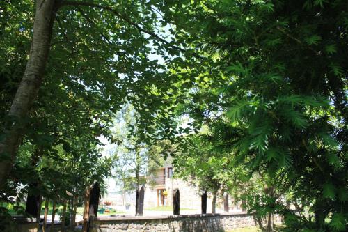 Giardino di Estudio y Loft Durango