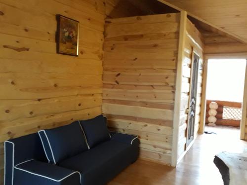 Χώρος καθιστικού στο Cottage Radomyshl'