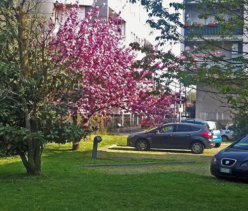 Um jardim no exterior de Hotel Forum