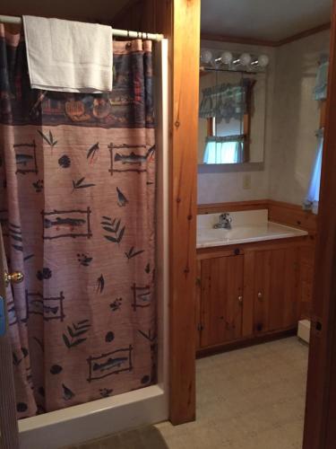 Ένα μπάνιο στο Rough Cut Lodge