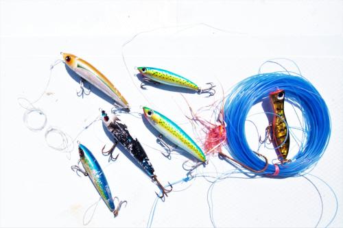 a group of fish attached to a string at Villa Rosa Maldives in Feridhoo