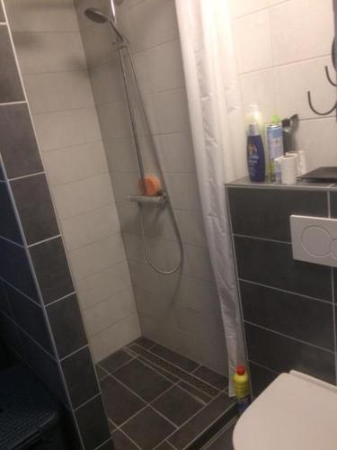eine Dusche im Bad mit Dusche in der Unterkunft Samos Babbis in Heerlen