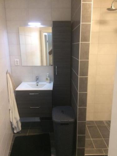 een badkamer met een wastafel, een toilet en een spiegel bij Samos Babbis in Heerlen