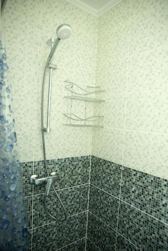 a shower with a shower head in a bathroom at La Marcu Pensiune in Tulcea