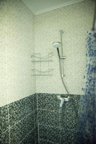a shower in a bathroom with a glass door at La Marcu Pensiune in Tulcea