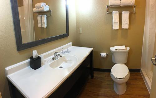 a bathroom with a sink and a toilet and a mirror at Sagebrush Hotel in Crystal City