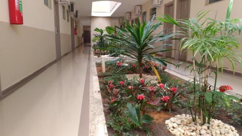 an corridor of an office building with plants and flowers at Paracambi Top Hotel in Paracambi