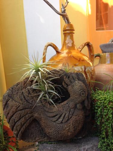a pottery figurine sitting on top of a plant at La Lampara in Stromboli