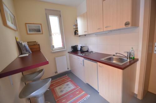 eine kleine Küche mit einer Spüle und einer Arbeitsplatte in der Unterkunft Ferienwohnungen Gruber in Rust