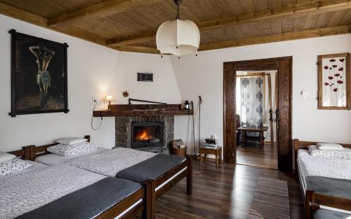 1 dormitorio con 2 camas y chimenea en Apartament przy Reglu en Zakopane