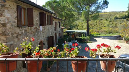 a group of flowers in pots outside of a building at Colonica Montebeni in Greve in Chianti