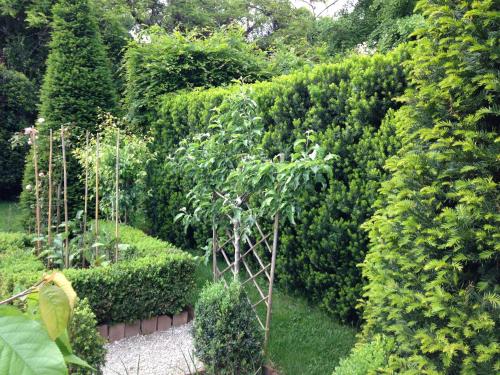 a garden with a small tree and bushes at Sottoalfico Resort in Rimini