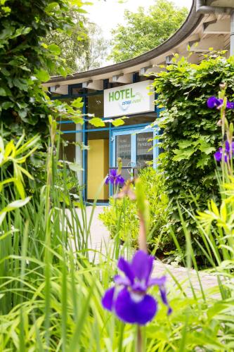 a purple flower in front of a hotel at Hotel Ostseeländer in Züssow