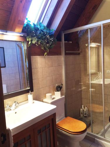 a bathroom with a toilet and a shower and a sink at Los Altos de Escarrilla - tucasaenlospirineos in Escarrilla