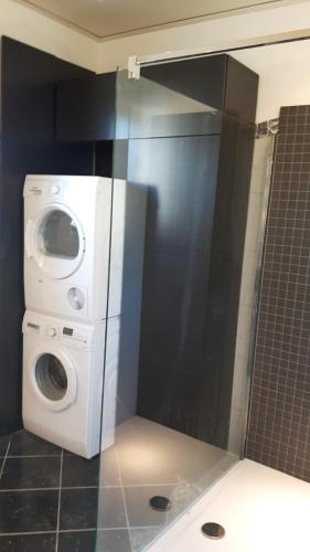 ゲストリング・アン・デア・イップスにあるLöwenherzのバスルーム(洗濯機、洗濯機付)