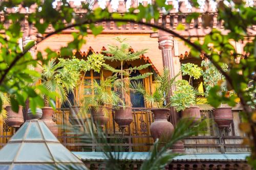 a group of plants in vases on a building at Riad Hiba in Meknès