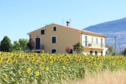 a house in front of a field of sunflowers at Il Podere di Francesco in Rivotorto 