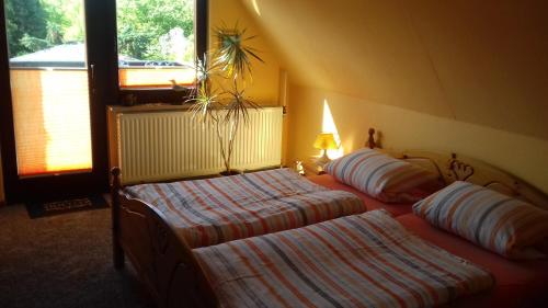 オストゼーバート・ディアーハーゲンにあるFerienwohnung in Boddennäheの窓付きの部屋 ベッド2台