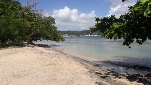 a view of a beach with trees and the water at Meryem in La Trinité