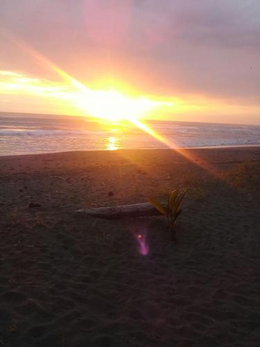 Hotel Playa Westfalia – Photos 5