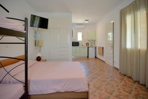 Η κουζίνα ή μικρή κουζίνα στο Villa Pergola Andros