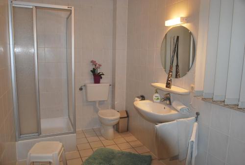 ein Bad mit einem Waschbecken, einem WC und einer Dusche in der Unterkunft Camping de L'Our Appartements in Vianden