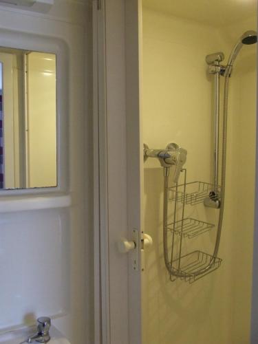 a bathroom with a sink and a shower at Alexandra Guest House in Hemel Hempstead