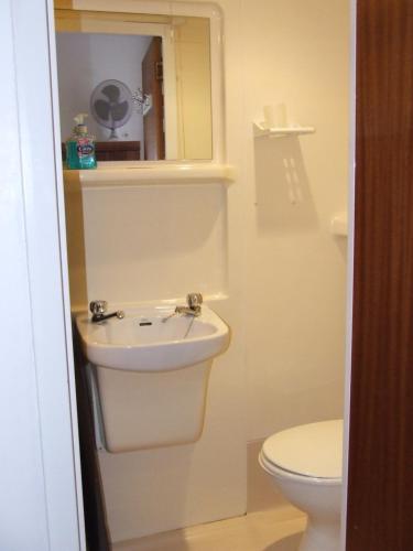 a bathroom with a sink and a toilet at Alexandra Guest House in Hemel Hempstead