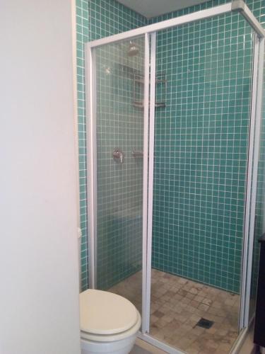 a bathroom with a shower with a toilet and green tiles at Tribal Concept in Cape Town