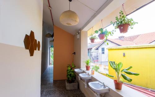 ein Badezimmer mit einer Reihe von Urinalen und Topfpflanzen in der Unterkunft The Hive Singapore Hostel in Singapur