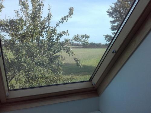 a window in a room with a view of a field at Pension Stenvang in Onsbjerg