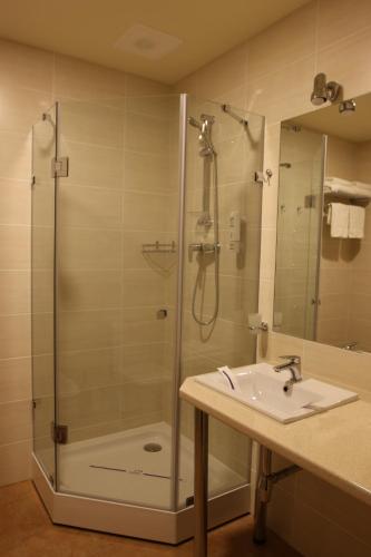a bathroom with a shower and a sink at Hotel Lubenska Sloboda in Vilʼshanka
