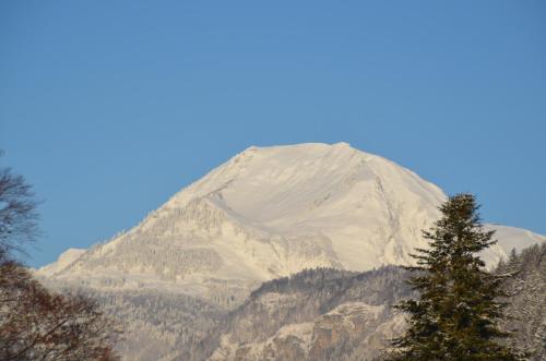 a snow covered mountain with a tree in the foreground at Mountain-Panorama in Meiringen