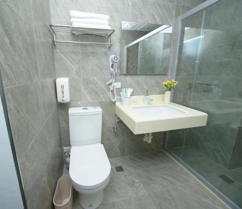 a bathroom with a toilet and a sink and a mirror at Happiness 210 B&B in Dongshan