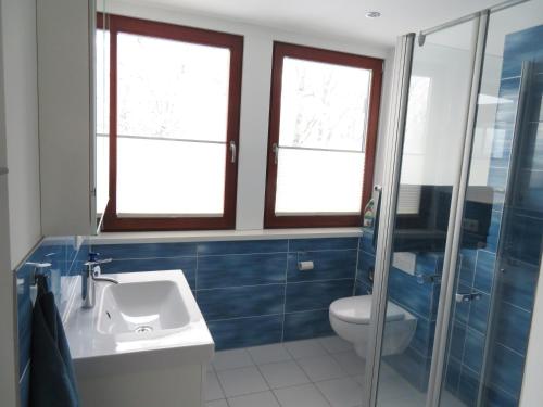 een badkamer met een wastafel, een toilet en ramen bij FEWO am Dümmer-See in Lembruch