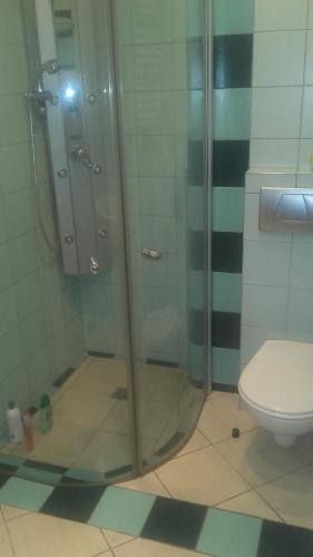 シュチルクにあるSerce Beskidówのバスルーム(シャワー、トイレ付)