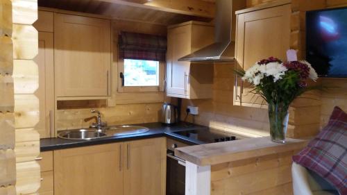 Kuchyň nebo kuchyňský kout v ubytování Lochinvar - Highland Log Cabin with Private Hot Tub