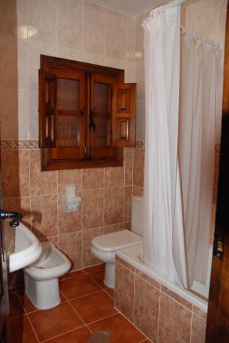 a bathroom with a toilet and a sink and a shower at alojamiento rural la ermita bubion in Bubión