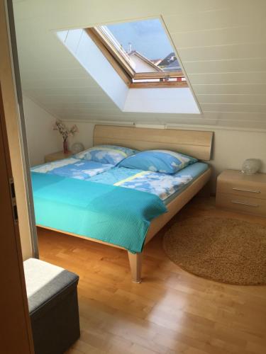 1 dormitorio con 1 cama con tragaluz en Romantisches Hirschhorn am Neckar, en Hirschhorn
