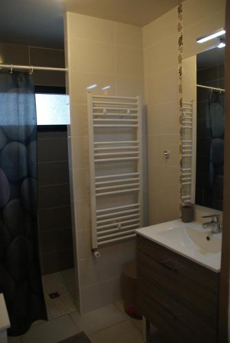 une salle de bain avec un lavabo et une douche dans l'établissement Le clos du bois, à Erdeven