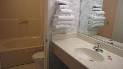 a bathroom with a sink and a toilet and a mirror at Nisei Inn in Gardena