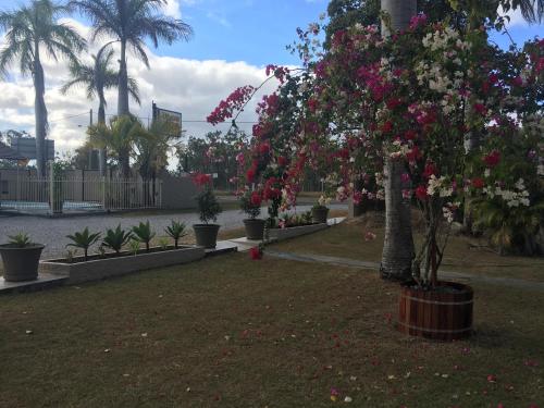 a row of trees with pink flowers in a park at Bororen Motel in Bororen