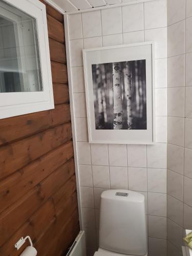 um banheiro com vaso sanitário e um quadro na parede em Levinlento em Levi