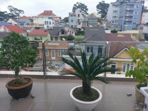 een balkon met palmbomen en uitzicht op de stad bij ST. Dong Tam Guesthouse in Da Lat