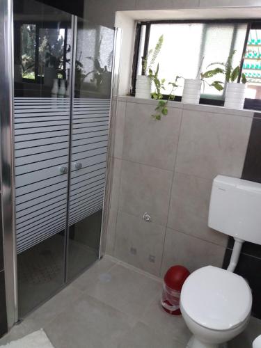 a bathroom with a toilet and a shower at Zipi Orhan in Acre