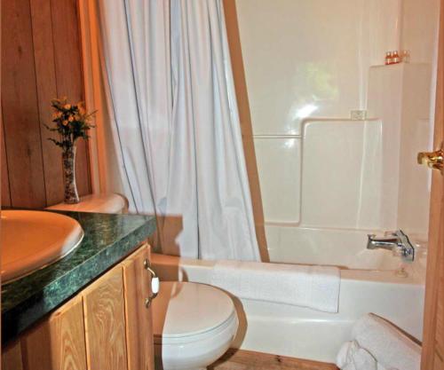 a bathroom with a toilet and a sink and a tub at Robin Hill Camping Resort Premium Cottage 1 in Lenhartsville